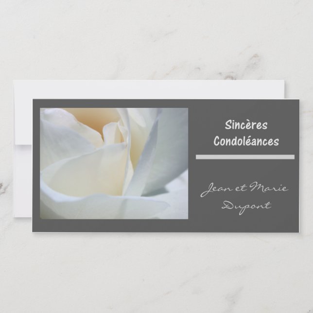 フランシス白黒バラ (正面)