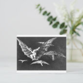 フランシス飛んでいるコ・ゴヤの道 ポストカード (スタンド正面)