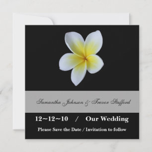フランジパニの結婚式 Save the Dateのアナウンス セーブザデート