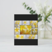 フランジパニス ポストカード (スタンド正面)