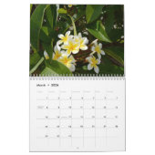 フランジパニスThe美しいLoveliness 2023カレンダー カレンダー (3月 2026)