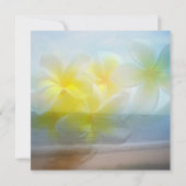 フランジパニビーチ結婚式カスタム招待状 招待状 (裏面)