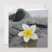 フランジパニビーチ結婚式カスタム招待状 招待状 (裏面)