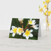 フランジパニブロッサムクラスター芸術的スタイル カード (黄色い花)
