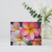 フランジパニプルメリア花は日付を結婚保存 案内ポストカード (スタンド正面)
