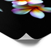 フランジパニ写真プリント ポスター (角)