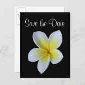 フランジパニ日付結婚の発表を保存 案内ポストカード (正面/裏面)