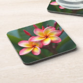 フランジパニ矮星トライカラーディライト コースター (左側)