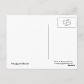 フランジパニI ポストカード (裏面)