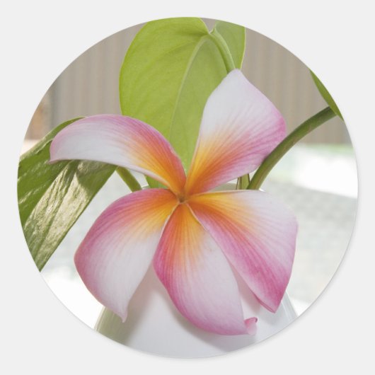 フランジパンニ ラウンドシール (正面)