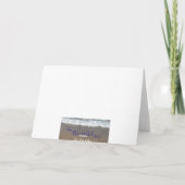 フランスのなバースデー・カード、デイジーおよび蜂 カード (裏面)