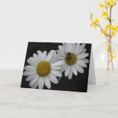 フランスのなバースデー・カード、デイジーおよび蜂 カード (黄色い花)