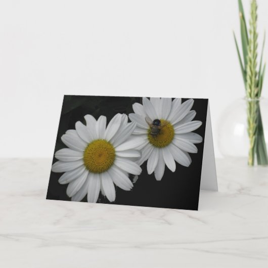フランスのなバースデー・カード、デイジーおよび蜂 カード (正面)