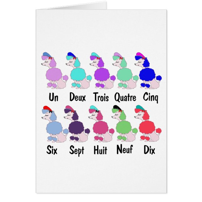 フランスのなプードルのカウント (正面)