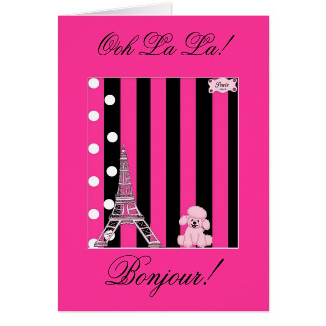 フランスのなプードル (正面)