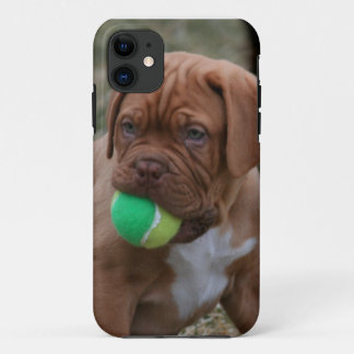 フランスのなマスティフの子犬 iPhone 11 ケース