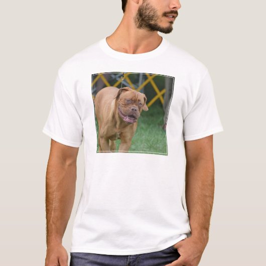 フランスのなマスティフ犬 Tシャツ (正面)