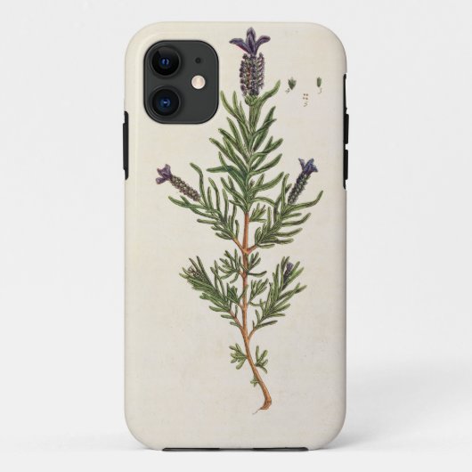 フランスのなラベンダーは、「好奇心が強いHerbalからの241をめっきします Case-Mate iPhoneケース (裏面)
