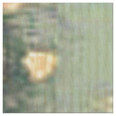 フランスのな国の上品、ぼろぼろの上品、ピンクのバラ、植物相 ファブリック (クローズアップ)