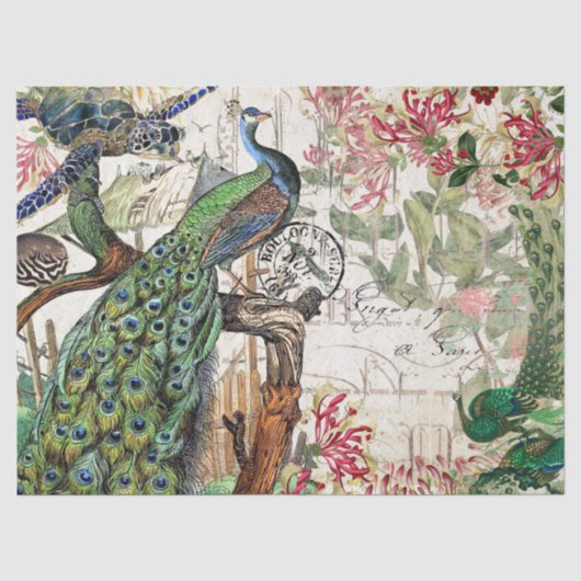 フランスのな孔雀の鳥のカメのフグの花 薄葉紙 (正面)
