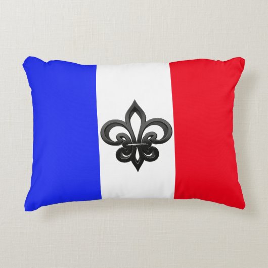 フランスのな旗 アクセントクッション (正面)