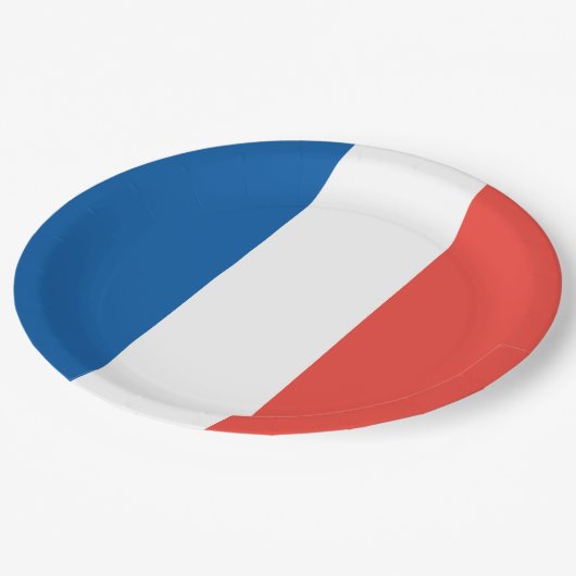 フランスのな旗: 三色のパリ祭のパーティー ペーパープレート (アングル)