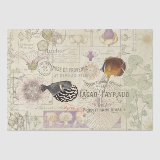 フランスのな短命なもののアールヌーボーの花の魚 薄葉紙 (正面)