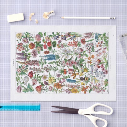 フランスのな辞書のプレートのプリントNo.22137 Flowers/Fle 薄葉紙 (クラフト)