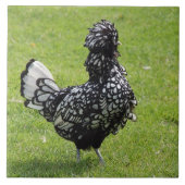 フランスのな鶏 タイル (正面)