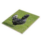 フランスのな鶏 タイル (側面)