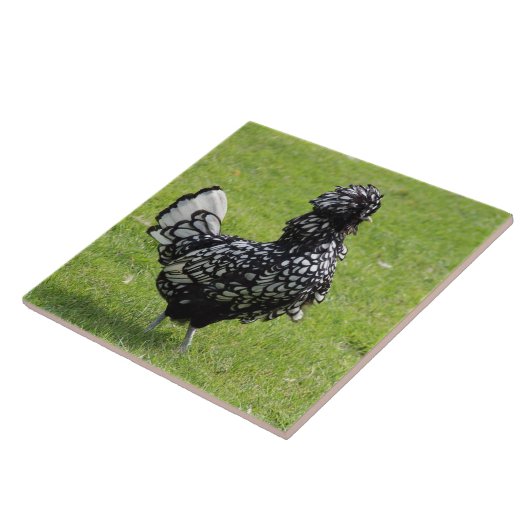 フランスのな鶏 タイル (側面)