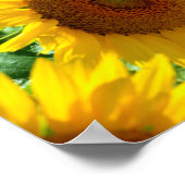 フランスのひまわり ポスター (角)