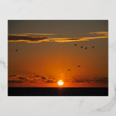 フランスのカイユースシュルメールでの夕日 箔シーズンポストカード (正面)