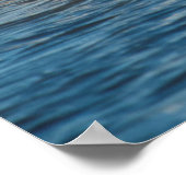 フランスのカマルグの白い馬 ポスター (角)