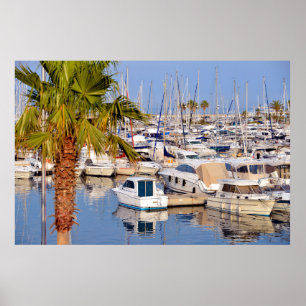 フランスのカヴァレアシュルメール港 ポスター