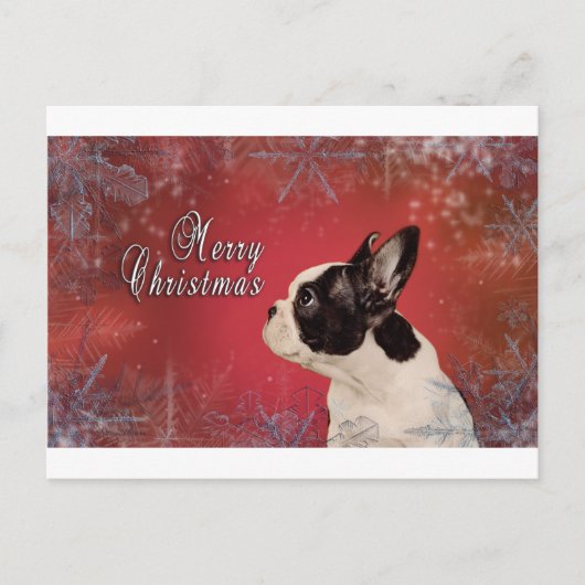 フランスのクリスマスカード シーズンポストカード (正面)