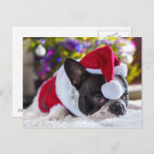 フランスのクリスマスツリーの下でサンタハットにブルドッグ シーズンポストカード (正面/裏面)