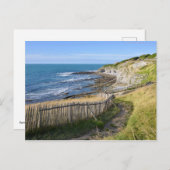 フランスのサン・ジーン・デ・ルスの海岸線 ポストカード (正面/裏面)