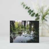 フランスのジヴェルニーにあるモネのユリ池 ポストカード (スタンド正面)