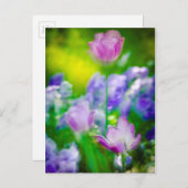 フランスのジヴェルニー州チューリップガーデン ポストカード (正面/裏面)