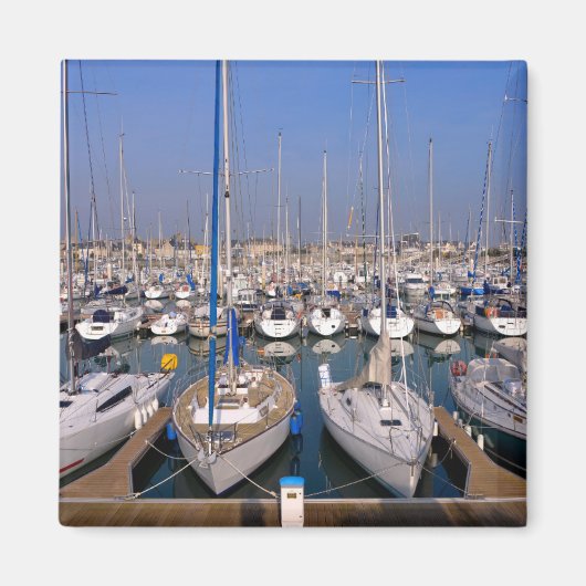 フランスのセントヴァーストラフーグ港 マグネット (正面)