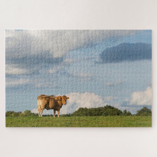 フランスのドルドーン地方のブロンド・ダキターヌ牛 ジグソーパズル (横)