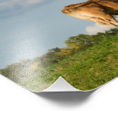 フランスのドルドーン地方のブロンド・ダキターヌ牛 フォトプリント            (角)