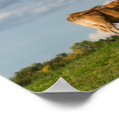 フランスのドルドーン地方のブロンド・ダキターヌ牛 ポスター (角)