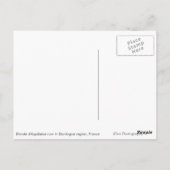 フランスのドルドーン地方のブロンド・ダキターヌ牛 ポストカード (裏面)