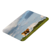 フランスのドルドーン地方のブロンド・ダキターヌ牛 マグネット (左側)