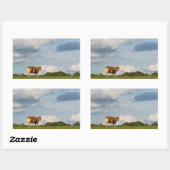 フランスのドルドーン地方のブロンド・ダキターヌ牛 長方形シール (シート)