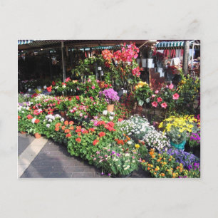 フランスのニースの花市場 ポストカード