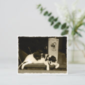 フランスのパリのメニュー近くのレストランで猫 ポストカード (スタンド正面)