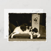 フランスのパリのメニュー近くのレストランで猫 ポストカード (正面/裏面)